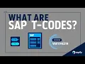 What Are SAP T-Codes - Navigation for Beginners 2025 Guide