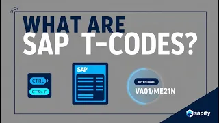 What Are SAP T-Codes - Navigation for Beginners 2025 Guide