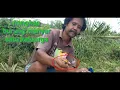 Download Lagu penangkapan burung manyar