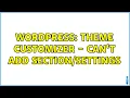 Wordpress Theme customizer - can t add