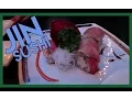 Jin Sushi Vlog