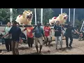 Download Lagu LATIHAN SISINGAAN SINGA DANGDUT YANG BERHIAS DZAKY NDARU PUTRA Singa Dangdut Terbaru Ditahun 2025