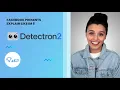ELI5 Detectron2