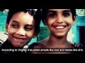 Bocafloja "Segundos" (Official Video. 2012)