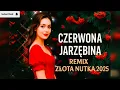 Lagu 🔥 CZERWONA JARZĘBINA (Złota Nutka 2025) 🎵 | Official REMIX [4K]