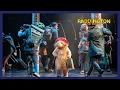 Lagu London, Please Look After This Bear | Paddington The Musical