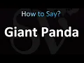 Download Lagu How to Pronounce Giant Panda (correctly!)