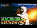 Download Lagu Masuk Surga Karena Kucing (Abu Bakar Asy-Syibli Dalam Mimpi Sahabatnya)