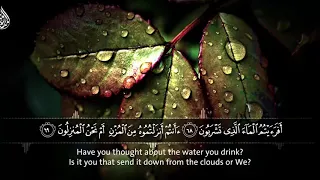 أفرأيتم الماء الذي تشربون   أأنتم أنزلتموه من المزن أم نحن المنزلون   محمد صديق المنشاوي دندنها