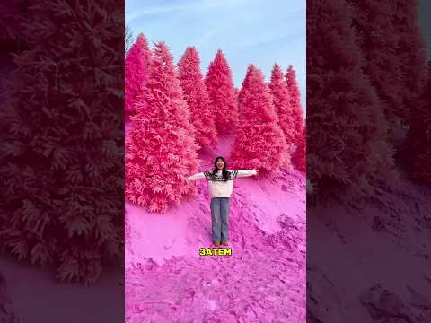 🏔️ Розовая деревня и гора над облаками?! Cat🐱