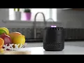 How to Use the DynaTrap Indoor Insect Trap