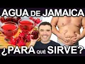 Download Lagu AGUA DE JAMAICA EN AYUNAS - Beneficios, Como Hacerla Y Contraindicaciones Para La Salud