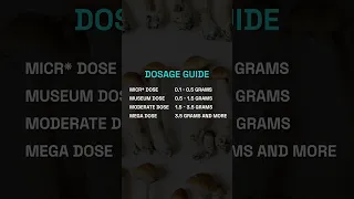 A Beginner s Guide to Psilocybin Mushrooms
