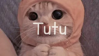 tutu cute version alma zarza slowed reverb 