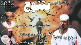 جديد 2022 الفنان بلة ود الاشبة مالك يا البلوم بتنوح 