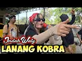 Download Lagu LANANG KOBRA - INDAH WATY | Arak-arakan Singadepok | Unjungan Buyut Merata Jaya Ds Kalimati