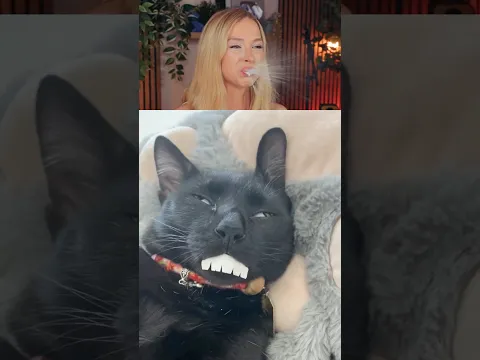Try Not To Laugh challenge 883