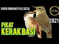Download Lagu pikat kerak basi | Suara Pikat PALING AMPUH Durasi 1 JAM