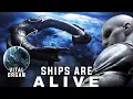 Download Lagu Engineer Ships Are ALIVE and Their True Purpose is Horrifying