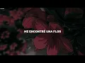 Andrés Cepeda & Manuel Medrano - Una Flor (Letra)