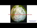 Papaya Fruit Disease Detection Using Image Processing Papaya Fruit Disease Classification Python