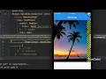 Solve - A RenderFlex overflowed by Large Image Display Error Flutter Dart