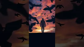 مليار Shortvideo اكسبلور المصحف لايك Gaza الرحمن الدال على الخير كفاعلة 