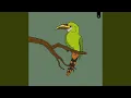 Download Lagu Toucanet