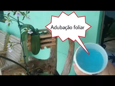COMO EU ADUBO MINHAS ORQUÍDEAS...ADUBAÇÃO QUÍMICA