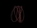3d asmr python mathematical visualizer