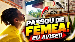 EU AVISEI QUE NÃO IA AGUENTAR! PASSOU DE FÊMEA! 😱