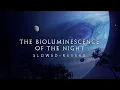Avatar - The Bioluminescence of the Night (Slowed + Reverb)