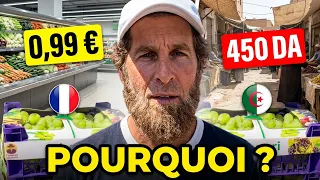 لماذا عنب الجزائر يباع للفرنسيين بنصف السعر للجزائريين                                              دندنها