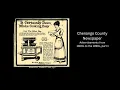 Chenango County Newspaper Advertisements 1800s to 1990s