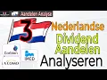 3 Nederlandse Dividend-Aandelen analyseren: Corbion, Acomo en IMCD