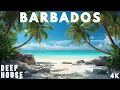 Download Lagu Barbados Ocean Dreams 2025 🌴🌊 Deep House Lounge | AEVE DEEP #50