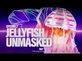 Download Lagu Jellyfish Unmasked | Series 4 Ep 7 | TMSUK