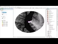 23 Clipping Rasters and Extract by Mask University of California Davis Coursera
