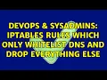 DevOps SysAdmins Iptables rules which only whitelist dns and drop everything else