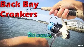 Episode 2 – Back Bay Croakers
