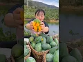 Download Lagu Enjoy Beautiful Crazy Mango 🥭
