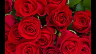 String Player Gamer Uwa So Temperate Slowed One Hour 