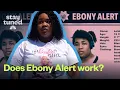 Is this Amber alert alternative to find missing Black youth working