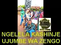NGELELA KASHINJE UJUMBE WA ZENGO BY LWENGE STUDIO