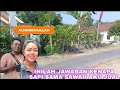 Download Lagu INILAH JAWABANNYA KENAPA HARUS JUAL SAPI \u0026 SAWAH KEMARIN...?