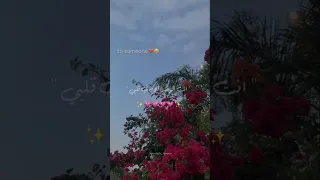 انت الوحيد اللي في قلبي تصميمي Foryou حالات واتس بتاعedit 
