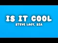 Steve Lacy - is it cool ft SZA