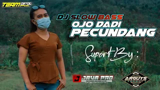 Download DJ SLOW BASS OJO DADI PECUNDANG COVER | HAPPY ASMARA | PERFORMANCE BY | TEAM CETOL OFFICIAL MP3