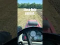 Download Lagu Life goes on #heeler #cattledog #farmlife