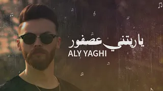 Aly Yaghi علي ياغي يا ريتني عصفور عزف محمد الشاويش 